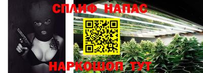 молекула духа Славгород