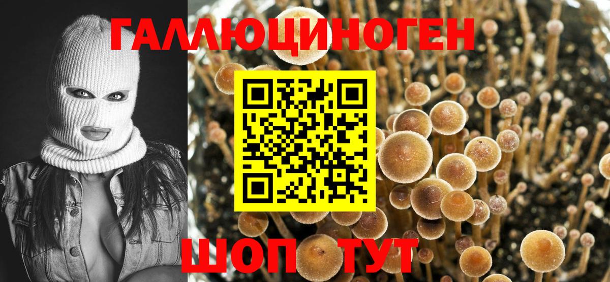 Галлюциногенные грибы GOLDEN TEACHER  Вход с VPN  Нововоронеж 