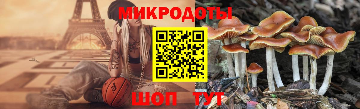Псилоцибиновые грибы мухоморы Нововоронеж